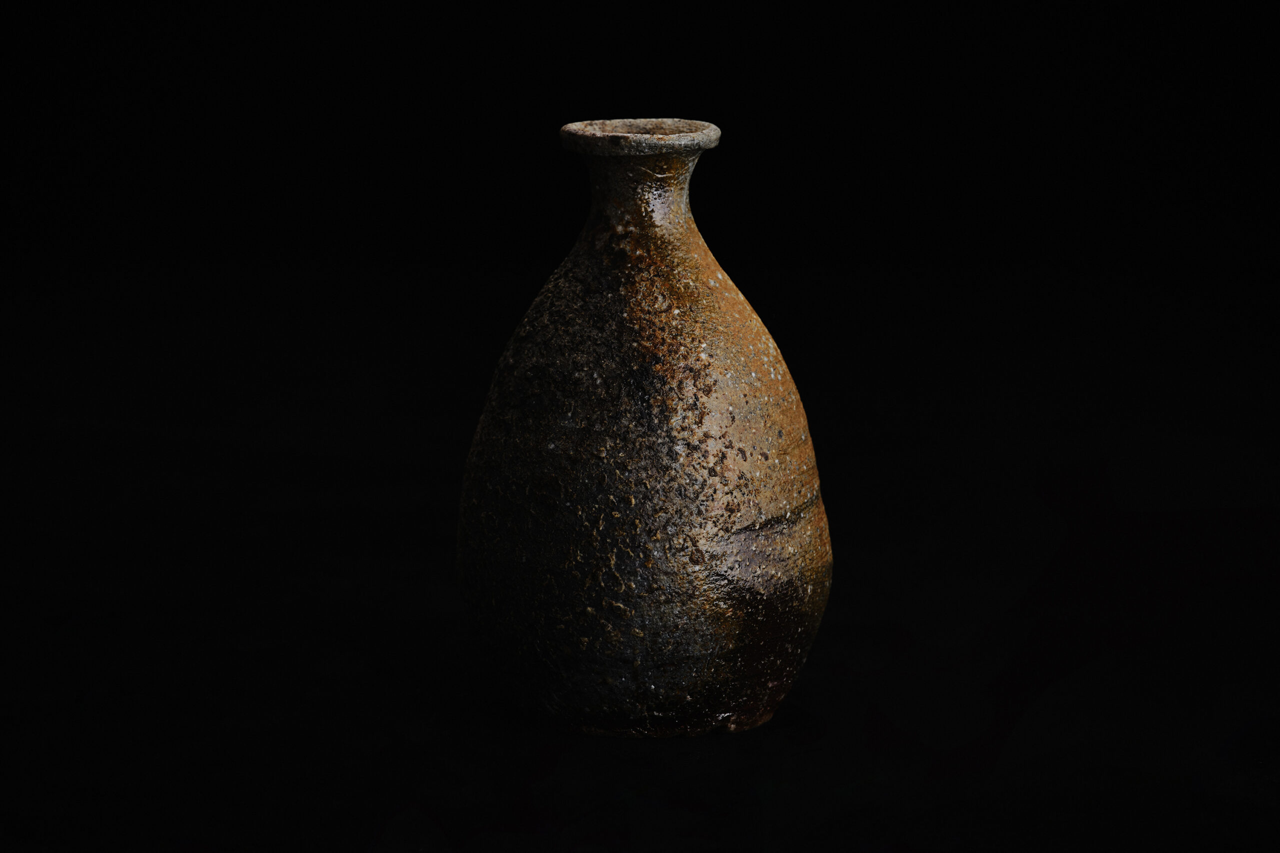 11_SyoFujita